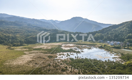 Jan 3 2026 Reed Field Luk Keng Rural Wetland Landscape Hong Jan 3 2026 Reed Field Luk Keng Rural Wetland Landscape Hong 135209734