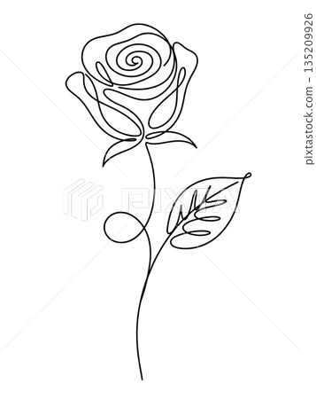 Rose Flower with Leaf Continuous Line Art Minimalist Romantic Design 135209926