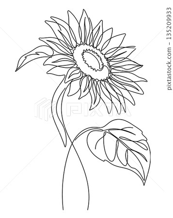 Tilted Sunflower Continuous Line Art Drawing Tilted Sunflower Continuous Line Art Drawing 135209933