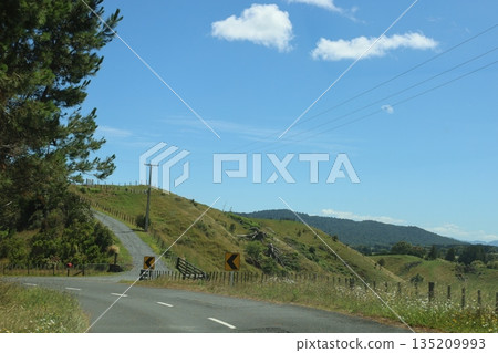 New Zealand Green 135209993