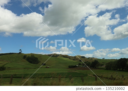 New Zealand Green 135210002