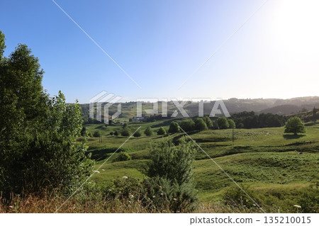 View of Waitomo, New Zealand 135210015