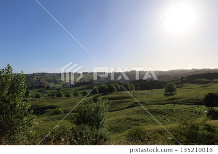 View of Waitomo, New Zealand View of Waitomo, New Zealand 135210016