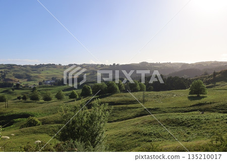 View of Waitomo, New Zealand View of Waitomo, New Zealand 135210017