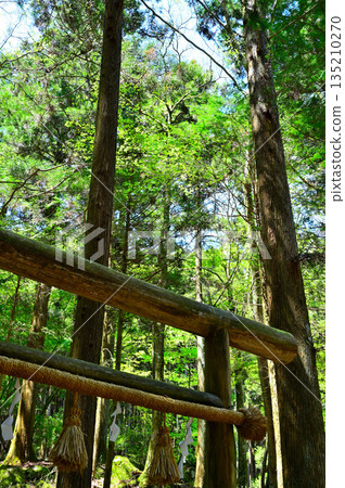 越前山位於愛攀高山脈,大袞里森林道路,須山愛攀高步道的起點鳥居,山神社就在附近。 越前山位於愛攀高山脈,大袞里森林道路,須山愛攀高步道的起點鳥居,山神社就在附近。 135210270