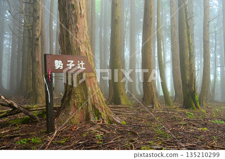 愛顧山脈的高聳山脊：山霧中的瀨古辻千佐神交匯處 135210299