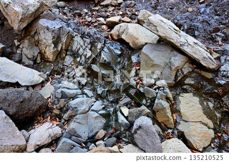 Mount Echizen in the Aitaka Mountains, Osawa Route, the source of Osawa near Wariishi Pass Mount Echizen in the Aitaka Mountains, Osawa Route, the source of Osawa near Wariishi Pass 135210525