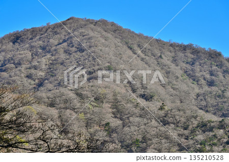 Mount Echizen in spring as seen from the Ashitaka Mountains near Wariishi Pass Mount Echizen in spring as seen from the Ashitaka Mountains near Wariishi Pass 135210528