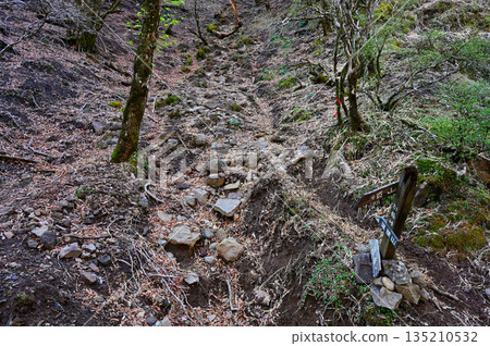 Wariishi Pass in the Aitaka Mountains: The path leading up to Mount Horai (Mount Horai) 135210532