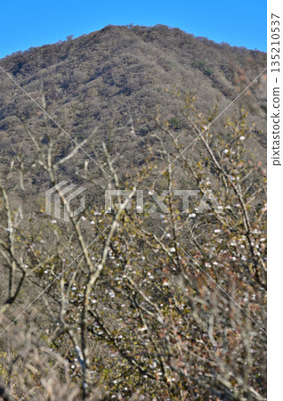 Mount Horai (Mount Horai) in the Aitaka mountain range; Mount Echizen in early spring as seen from Tengu no Hata Observatory Mount Horai (Mount Horai) in the Aitaka mountain range; Mount Echizen in early spring as seen from Tengu no Hata Observatory 135210537
