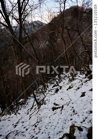 Mount Echizen in the Aitaka Mountains: View of Mount Maedake in the morning from the trail leading up to Fujimi Pass 135210589
