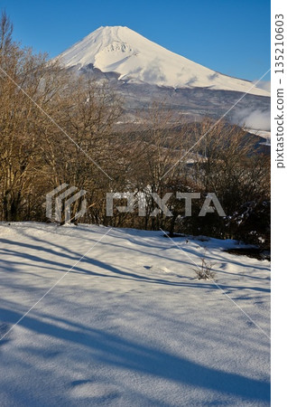 Mount Fuji in the morning as seen from the snow-covered summit of Mount Kurodake in the Ashitaka Mountains Mount Fuji in the morning as seen from the snow-covered summit of Mount Kurodake in the Ashitaka Mountains 135210603
