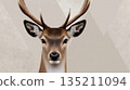 Realistic Illustration of a Deer Head with Antlers 135211094