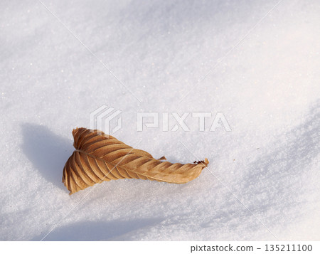 落葉落在雪地上 落葉落在雪地上 135211100