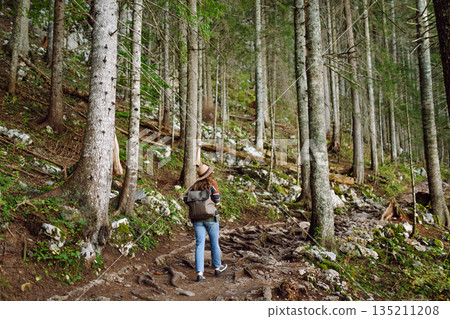 Woman with backpack hiking outdoors in the Forest. Trekking in the Pine Woods. Hiking lifestyle Woman with backpack hiking outdoors in the Forest. Trekking in the Pine Woods. Hiking lifestyle 135211208