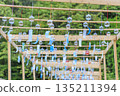 Blue glass wind chimes hanging from a wooden frame, green summer scenery 135211394
