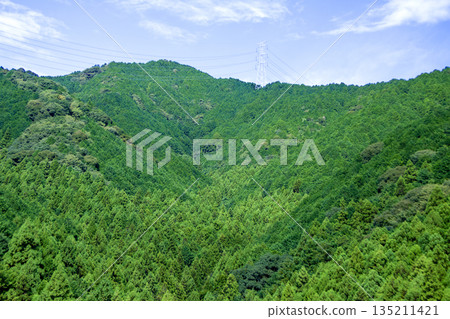 山景被翠綠的植物環繞 山景被翠綠的植物環繞 135211421
