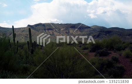 Mountains Surrounding Roosevelt Lake Arizona Mountains Surrounding Roosevelt Lake Arizona 135211830