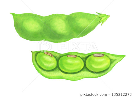 大豆豆插圖 135212273