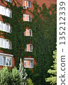 A red brick building covered with green ivy 135212339