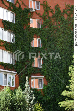 A red brick building covered with green ivy 135212339