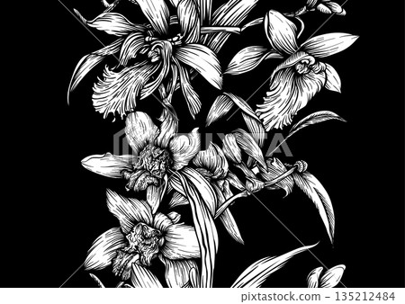 Vanilla orchid seamless coloring page. Vanilla orchid seamless coloring page. 135212484