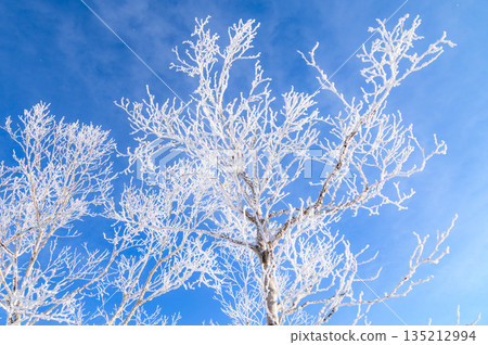 Mount Akagi in winter: A spectacular view of blue skies and frost Mount Akagi in winter: A spectacular view of blue skies and frost 135212994