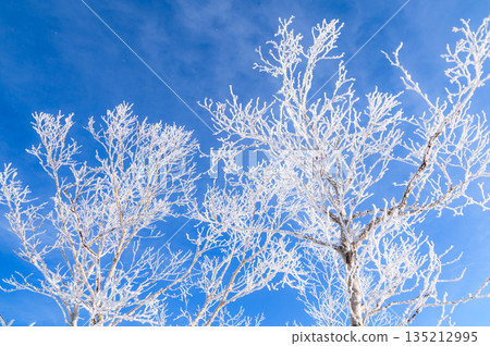 Mount Akagi in winter: A spectacular view of blue skies and frost Mount Akagi in winter: A spectacular view of blue skies and frost 135212995