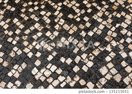 Red Shoes on Vintage Black and White Stone Mosaic Pavement, Top View 135213031