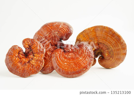 Lingzhi or Reishi mushroom with capsules, organic natural healthy food. 135213100