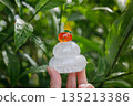 Glass Kagami mochi held up in a green garden 135213386