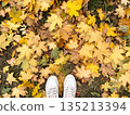 White old leather sneakers on the fallen autumn leaves. 135213394