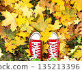 Red old canvas sneakers on the fallen autumn leaves. 135213396