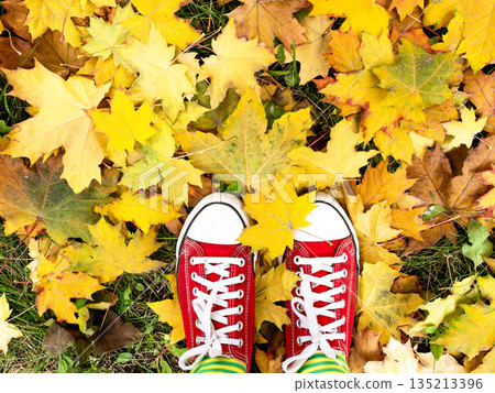 Red old canvas sneakers on the fallen autumn leaves. Red old canvas sneakers on the fallen autumn leaves. 135213396