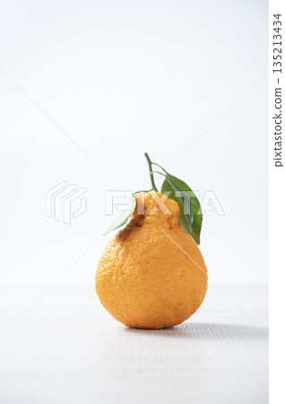 Decorphone 135213434