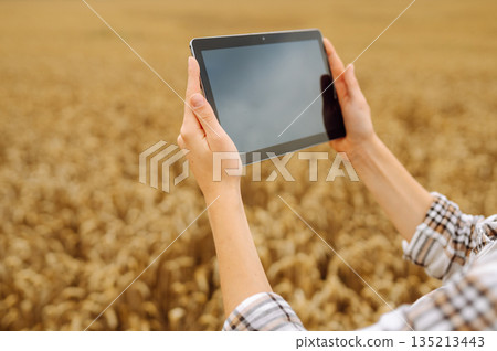 Woman farmer with digital tablet in agricultural field. Smart farm 135213443