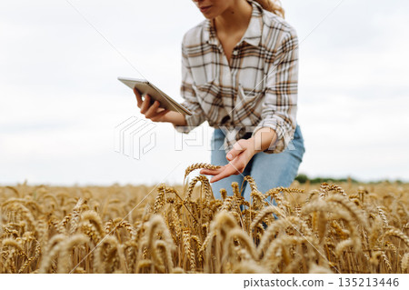 Woman farmer with digital tablet in agricultural field. Smart farm Woman farmer with digital tablet in agricultural field. Smart farm 135213446