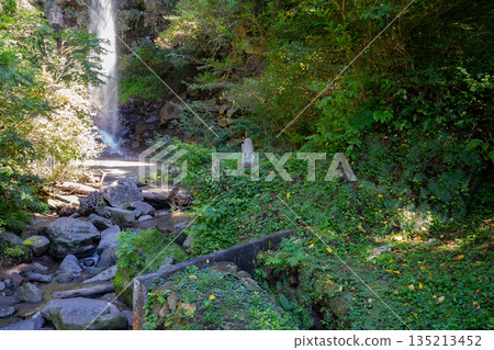 Scenery of Chojiro Falls (Fukurokuju Falls) Scenery of Chojiro Falls (Fukurokuju Falls) 135213452