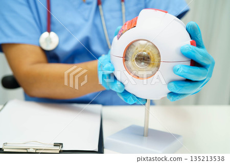 Asian doctor with eye human anatomy model for study diagnosis and treatment in hospital. 135213538