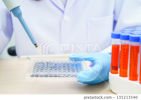 Scientist with cell culture in sample micro plate for research in science laboratory. 135213540