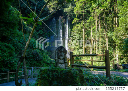 Scenery of Katsuramaki Falls (Jurojin Falls) 135213757