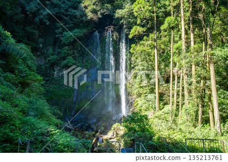 Scenery of Katsuramaki Falls (Jurojin Falls) 135213761