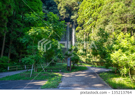 Scenery of Katsuramaki Falls (Jurojin Falls) Scenery of Katsuramaki Falls (Jurojin Falls) 135213764