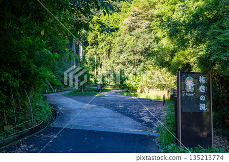 Scenery of Katsuramaki Falls (Jurojin Falls) Scenery of Katsuramaki Falls (Jurojin Falls) 135213774