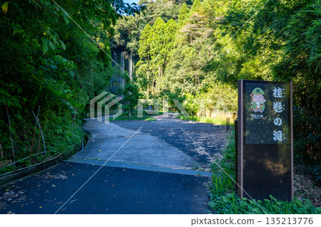 Scenery of Katsuramaki Falls (Jurojin Falls) Scenery of Katsuramaki Falls (Jurojin Falls) 135213776