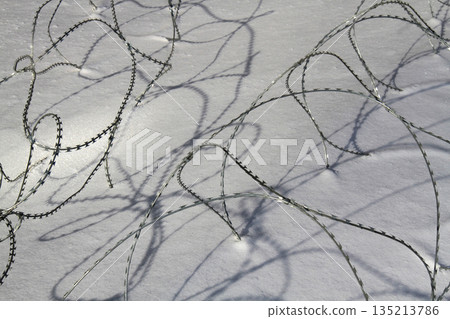 Barbed wire on snow Barbed wire on snow 135213786