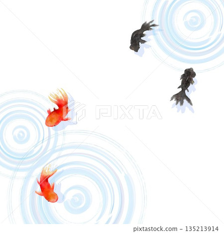 一幅極簡主義日式插畫，描繪了從上方俯瞰的金魚和水面漣漪。 135213914