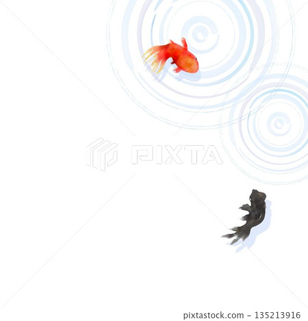 A minimalist Japanese-style illustration of goldfish and ripples on the water surface seen from above A minimalist Japanese-style illustration of goldfish and ripples on the water surface seen from above 135213916