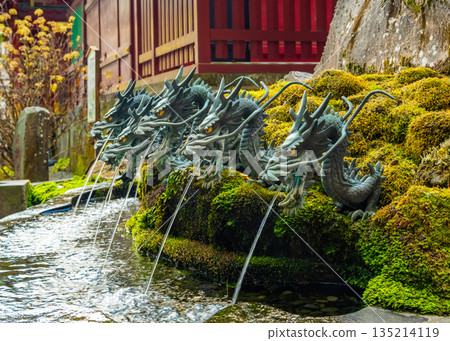 箱根九頭龍神社的九頭龍長頭湯噴泉 箱根九頭龍神社的九頭龍長頭湯噴泉 135214119
