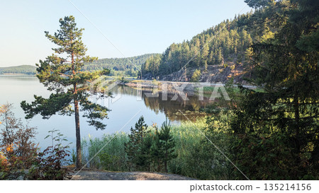 Summer morning view of the tranquil Lake Ladoga in Karelia, with a solitary pine tree framing the calm water, lush forest, and a winding road along the shore Summer morning view of the tranquil Lake Ladoga in Karelia, with a solitary pine tree framing the calm water, lush forest, and a winding road along the shore 135214156